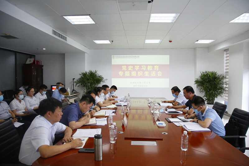 陜煤集團(tuán)黨史學(xué)習(xí)教育第三巡回指導(dǎo)組到新型能源指導(dǎo)黨史學(xué)習(xí)教育專題組織生活會