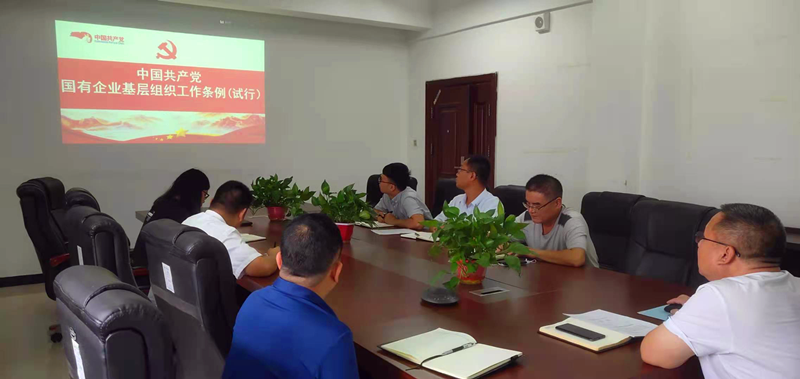 仙桃公司黨支部對《中國共產(chǎn)黨國有企業(yè)基層組織工作條例(試行)》進行再學習再落實