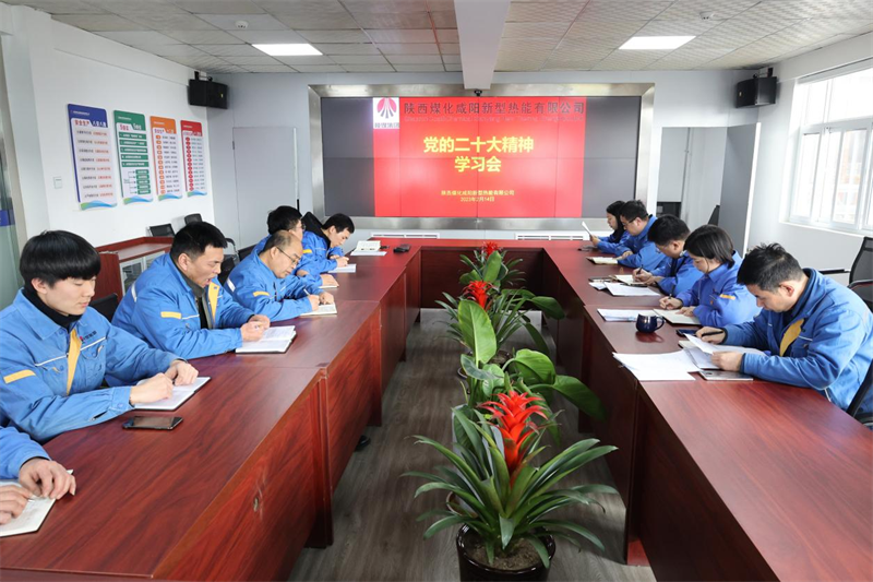 咸陽公司召開黨的二十大精神專題學(xué)習(xí)會.png