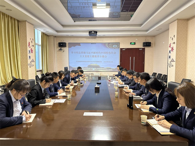 （二）公司所屬各單位迅速傳達學(xué)習(xí)新型能源公司主題教育動員會精神