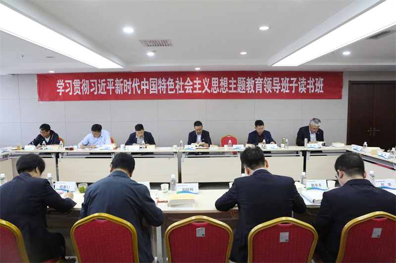 新型能源公司黨委舉辦學(xué)習(xí)貫徹習(xí)近平新時代中國特色社會主義思想主題教育第二期讀書班