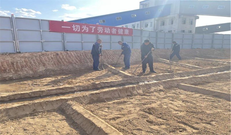 選煤公司：開(kāi)墾職工“小菜園” 為職工健康“加餐”