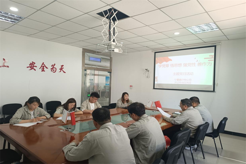 寧夏鑫爾特公司黨支部支組織開展“學(xué)黨章、悟思想、強(qiáng)黨性、善作為”主題黨日活動.png