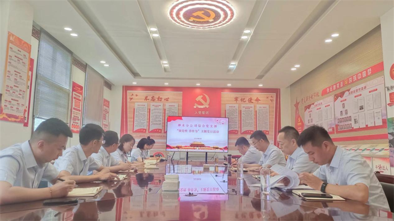 神木分公司綜合黨支部開展“強黨性，善作為”主題黨日活動.png