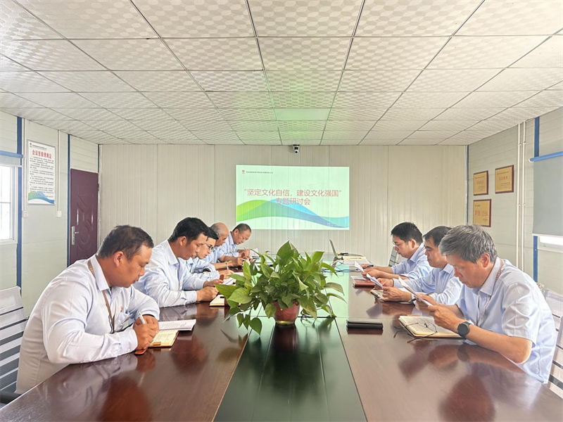 （三）公司所屬各單位開展堅(jiān)定文化自信 建設(shè)文化強(qiáng)國專題研討