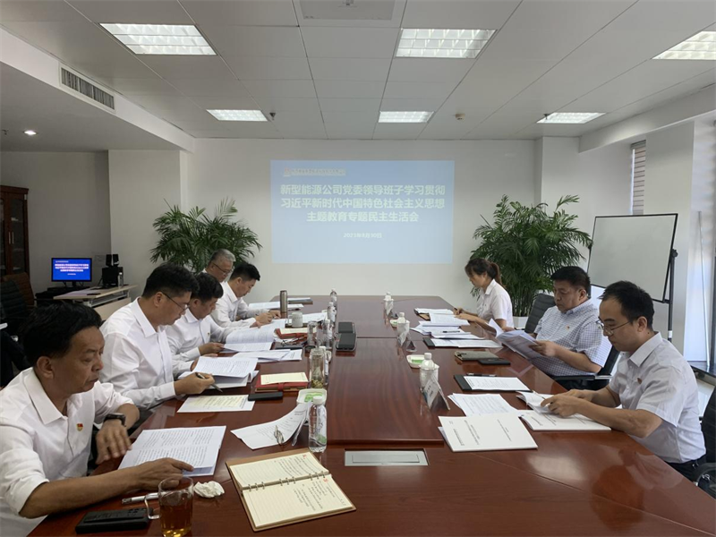 新型能源公司黨委召開學(xué)習(xí)貫徹習(xí)近平新時(shí)代中國特色社會主義思想主題教育專題民主生活會1.png
