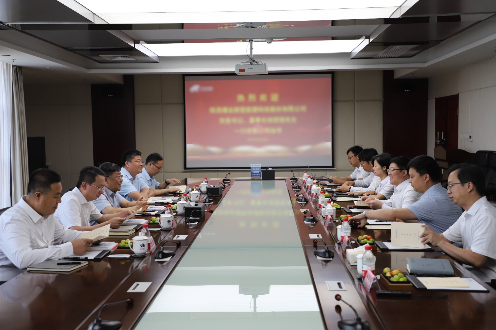 徐國強到陜西華秦新能源科技有限責(zé)任公司交流座談